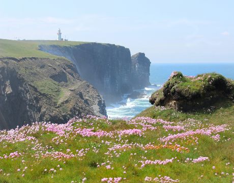 Offerte viaggi irlanda settembre