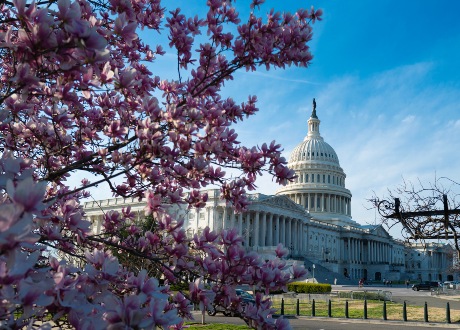 Tour Canada e Stati Uniti: il Grande Est viaggio organizzato con accompagnatore dall'Italia
