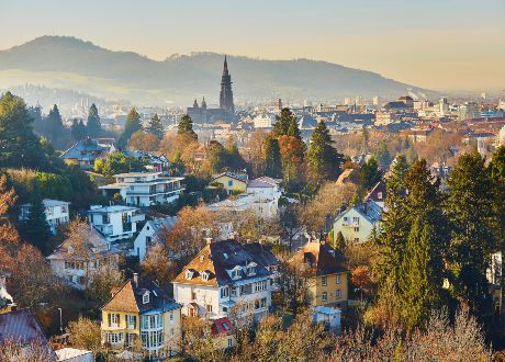 Tour Germania Foresta Nera e Valle del Reno viaggio di gruppo organizzato con guida